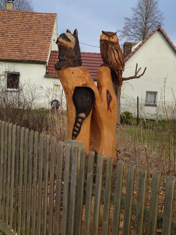 Ferienhof-Rietschen-Neuliebel 外观 照片